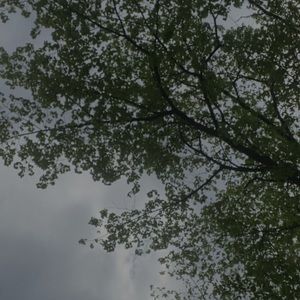 Meet your Posher, Myah